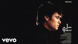 Juan Gabriel - Por Qué Fue Que Te Amé (Cover Audio)