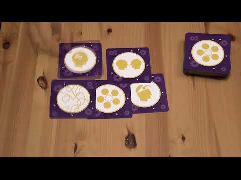 Cortex Kids bemutató