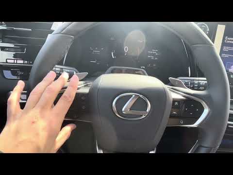 2025 Lexus RX Tutorial Video