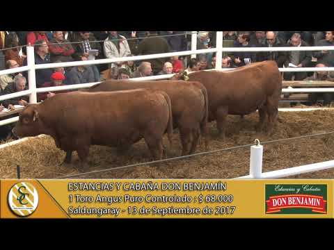 14-07-17 Venta de Vaq. Hereford P.P. C/Gtia - Estancias y Cabaña Don Benjamín - Saldungaray