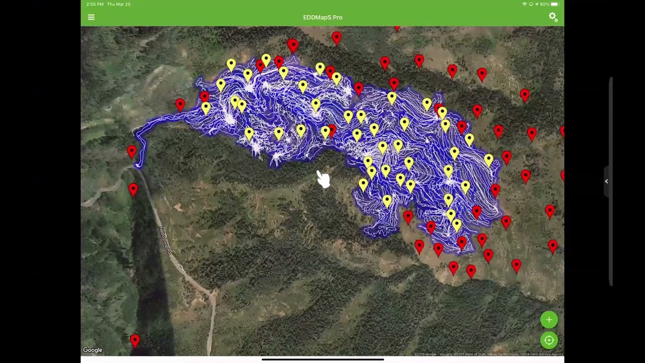 How to use EDDMapS Pro