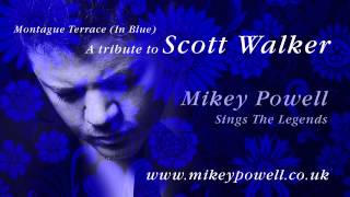Scott Walker - Montague Terrace (In Blue) Tribute