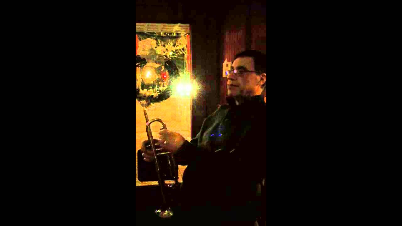 Promotional video thumbnail 2 for Lynne Hamer Jazz Trio