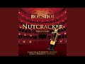Nutcracker Op 71 Act II Mother Cygogne And The Clowns