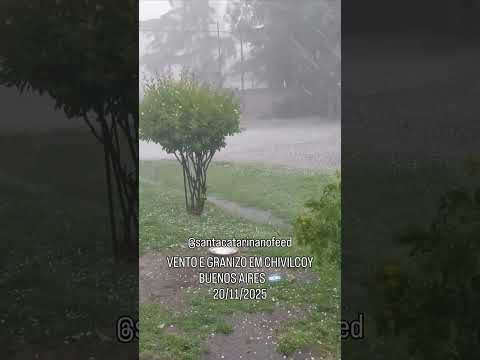 Moradores registraram, na tarde desta quinta-feira (20/11/2025)