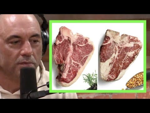 Joe Rogan | The Benefits of Grass Fed Beef vs. Grain...