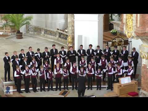 Knabenchor capella vocalis | "Mother of God, here I stand" John Tavener (Abteikirche Neresheim 2018)