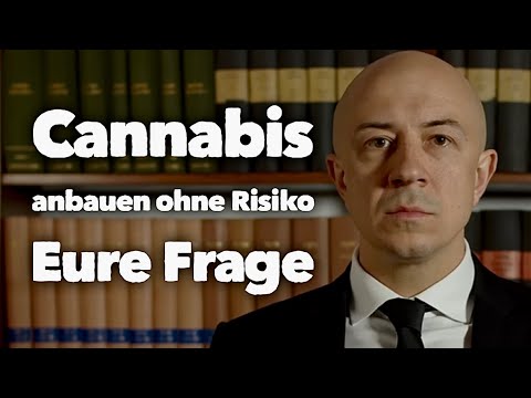 Eure Fragen - Strafrecht und Cannabis rechtssicher? LIVE