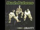 Da Bush Babees Maybe