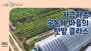 [나는농부다 274회] 자급자족 공동체 마을의 텃밭 클라스