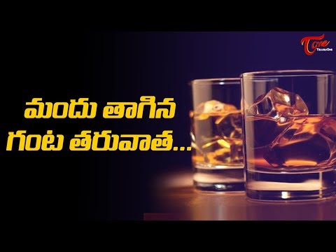 What Happens In One Hour After Drinking Alcohol