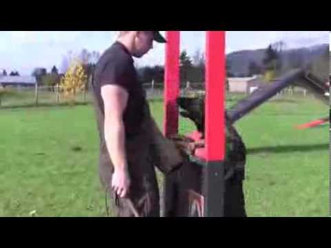 IPO Versatility Protection Trained German Shepherd