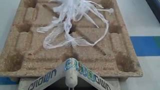 Pere Ubu - Feuksley Ma&#39;am, The Hearing