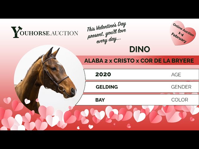 Dino