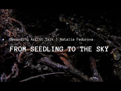 From seedling to the sky | Natalia Fedorova