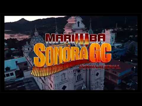 Tristeza Al Morir (En Vivo) | Marimba Sonora GC | Audio y video HD.