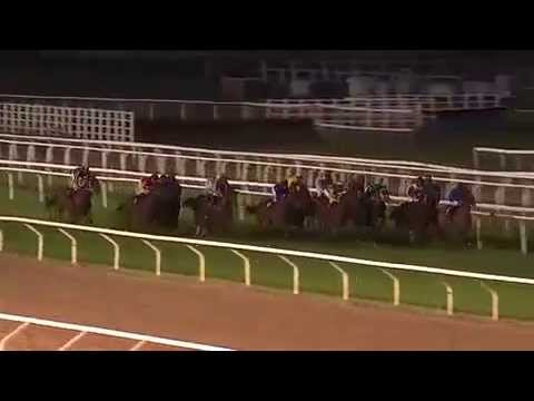 2014.08.28 Breeders' Trophy Classic(SWE) - Beentheredonethat