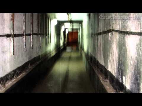 The Last One Alive - Demon Hunter (lyrics)