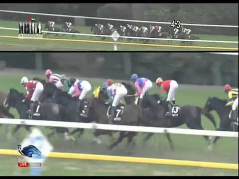 2014.11.30 World Super Jockeys Series (WSJS) Final leg