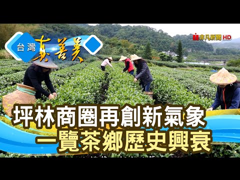 探訪“茶鄉坪林”新舊之美｜新北市坪林區商圈發展協會｜【台灣真善美】2022.01.02