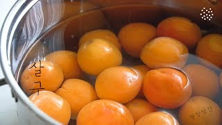 [sub] 달방앗간 재료수집 '살구', 살구청과 잼 그리고 살구 설기에 도전과 그 결과, apricot