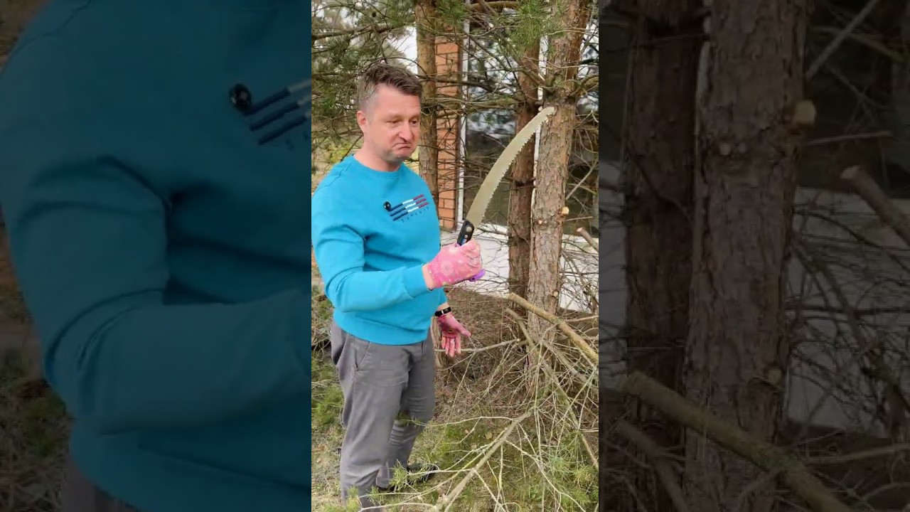 Обрезка сада: надёжный качественный инструмент и другие моменты