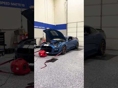 Would you Whipple swap your GT500?