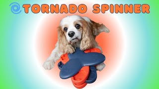 🧩 Keep Your Senior Cavalier King Charles Spaniel Busy! Frozen Food Puzzle with Dehydrated Treats 🐶