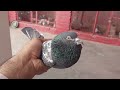Ferozpuri Kabootar Home Breed Hashim Mahmood Pigeons