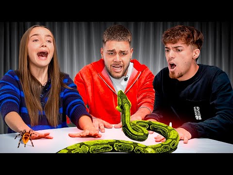 Si Te Mueves Pierdes Extremo!