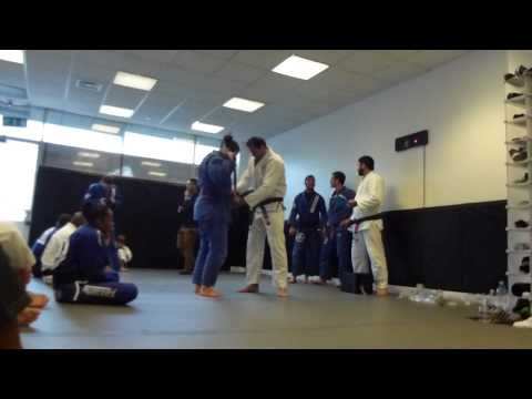 RGA Summer Grading 2015 - Brown Belt - Birgit Schuette