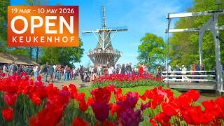 4K 60FPS Keukenhof 10.000.000 TULIPS The World’s Most Beautiful Garden Walking Tour Hidden Gem #tulipfestival #amsterdam #tulip #festival gameplay video by alucas, 47:31 duration