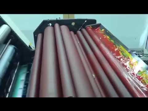 Two Colour Non Woven Printing Machine