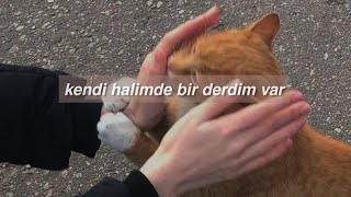 Can Kazaz &amp; Nilipek - Kendi Halimde (Sözleri)