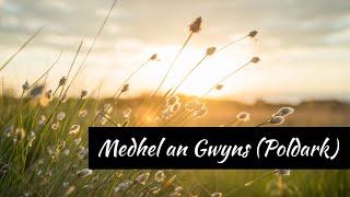 Medhel an Gwyns (from Poldark BBC serie) Eleanor Tomlinson | Cover by Anne Charlotte