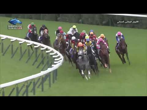 2018.11.18 Mile Championship (JPN) - Stelvio