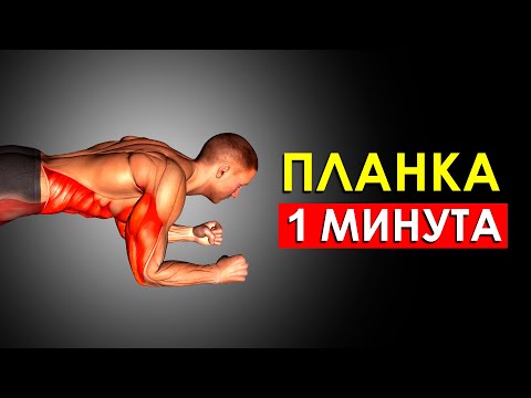 Я Делал Планку по 1 Минуте Каждое Утро и Вот Что Случилось с Моим Телом