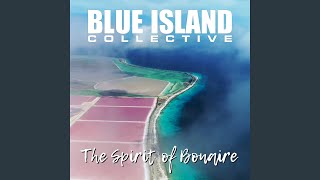 The Spirit Of Bonaire (VOB's RT Remix)