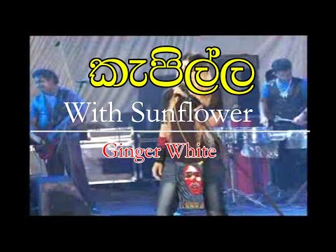 Kapilla with Sunflowers Ginger White