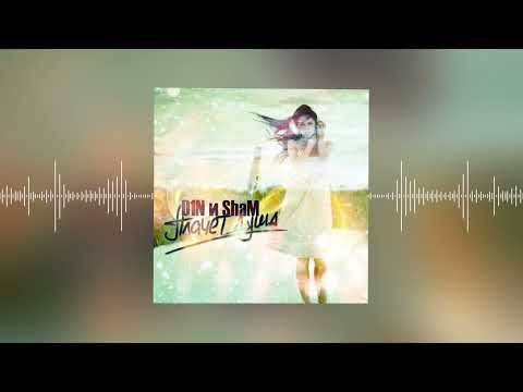 D1N - плачет душа (Official audio)