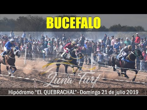 HIP. "EL QUEBRACHAL" EN CHAMICAL L.R. 21/07/2019 - BUCEFALO, RODRIGUITO Y SACRIFICIO