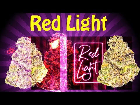 Cookies Red Light Strain