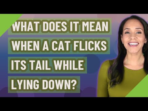 What does it mean when a cat flicks its tail while lying down?