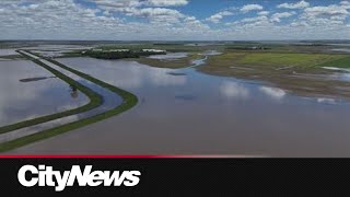 Manitoba farmers call on province for clarity and improved infrastructure following floods
