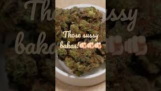 Strain: GMO from Goldleaf🧄garlic mushroom🍄onion 🧅 fire strain 🔥 sussy bakas only #stoner #shorts