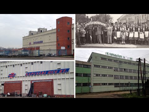 A KAPUVÁRI HÚSGYÁR😱 - Elhagyatva Magyarországon 183.