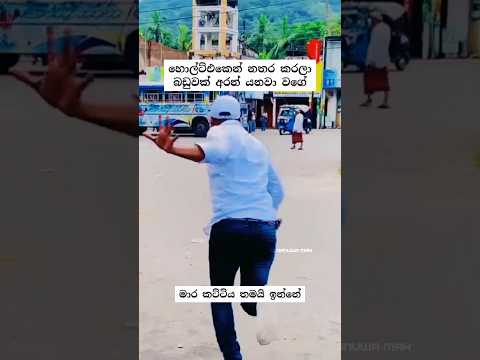 හොල්ට්එකෙන් නතර කරලා බඩුවක් අරන් යනවා වගේ 😴🩷#srilanka #sldanuwamax #automobile #bus #busdriver #fyp