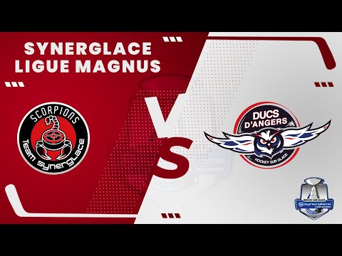 Scorpions 1-5 Ducs | Une fin douloureuse