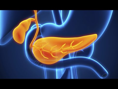 KAKO ELIMINISATI OTROVE IZ GUŠTERAČE - PRIRODNO ČIŠĆENJE! Prof. dr Mihajlović