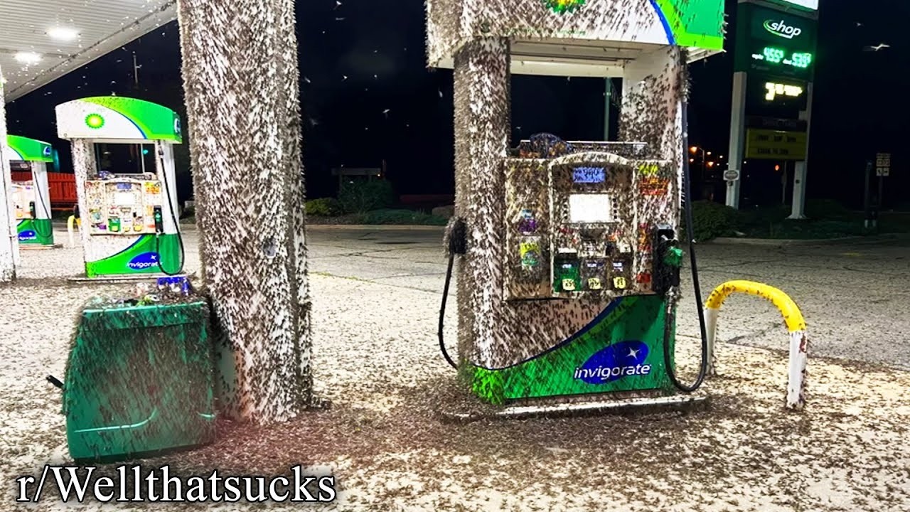 THE SUCKIEST OF R/WELLTHATSUCKS